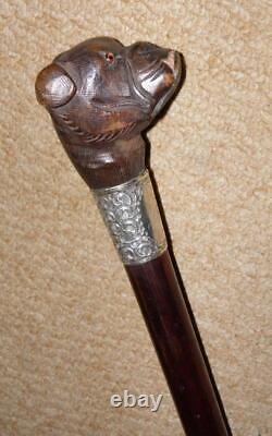 Edwardian Walking Stick Hand Carved Bulldog Head & Hallmarked 1902 Silver