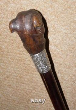 Edwardian Walking Stick Hand Carved Bulldog Head & Hallmarked 1902 Silver