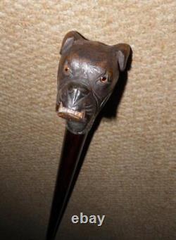 Edwardian Walking Stick Hand Carved Bulldog Head & Hallmarked 1902 Silver