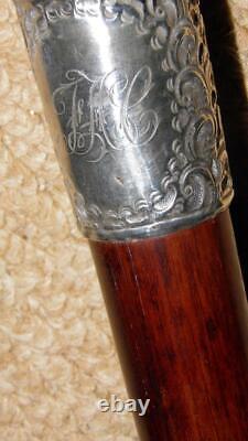 Edwardian Walking Stick Hand Carved Bulldog Head & Hallmarked 1902 Silver