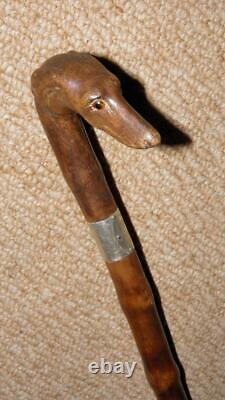 Edwardian Walking Stick Hand-Carved Whippet & Hallmarked 1902 Silver By Kendall