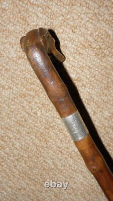 Edwardian Walking Stick Hand-Carved Whippet & Hallmarked 1902 Silver By Kendall