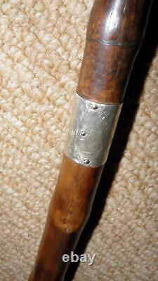 Edwardian Walking Stick Hand-Carved Whippet & Hallmarked 1902 Silver By Kendall