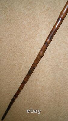 Edwardian Walking Stick Hand-Carved Whippet & Hallmarked 1902 Silver By Kendall