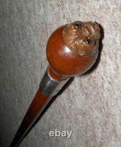 Edwardian Walnut Walking Cane -Hand-Carved Bulldog Face Top H/M Silver 1904