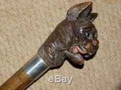 Elizabethan Hand Carved Snarling Dog H. M Silver Walking Stick. 35.1/2 Brigg