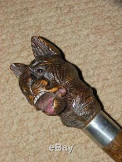 Elizabethan Hand Carved Snarling Dog H. M Silver Walking Stick. 35.1/2 Brigg