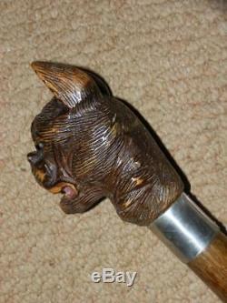 Elizabethan Hand Carved Snarling Dog H. M Silver Walking Stick. 35.1/2 Brigg