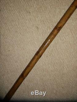 Elizabethan Hand Carved Snarling Dog H. M Silver Walking Stick. 35.1/2 Brigg