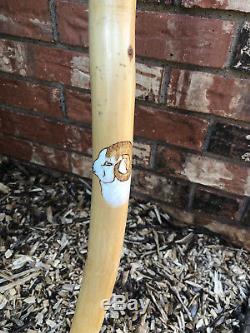 Exquisite Hand Carved Walking Stick Noah's Ark Rick Rodgers Custom Carving