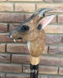 Extremely Rare Mike Wood Muntjac Deer Carved Head Staff Cane Stalking Wagbi Basc