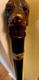 Fab Antique Black Forest Carved Dog Glass Eyes Silver Collar Walking Stick Cane