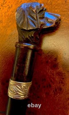 Fab Antique Black Forest Carved Dog Glass Eyes Silver Collar Walking Stick Cane