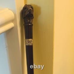 Fab Antique Black Forest Carved Dog Glass Eyes Silver Collar Walking Stick Cane