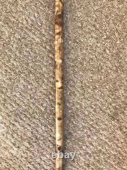 Fabulous Hand Carved Fox headed Hazel Shafted 51 Walking Stick by Ian Taylor