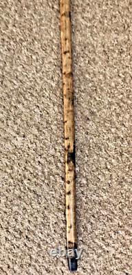 Fabulous Hand Carved Fox headed Hazel Shafted 51 Walking Stick by Ian Taylor