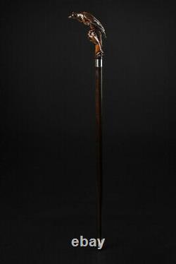 Falconry Walking Cane Fancy Hand Carved Cane, Best Canes for Seniors