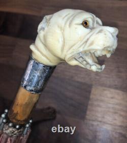Fantastic Antique Carved Dogs Head & Silver Handled Parasol Walking Stick Handle