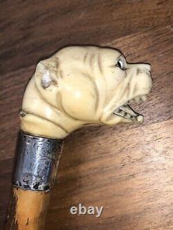 Fantastic Antique Carved Dogs Head & Silver Handled Parasol Walking Stick Handle