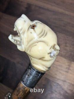 Fantastic Antique Carved Dogs Head & Silver Handled Parasol Walking Stick Handle