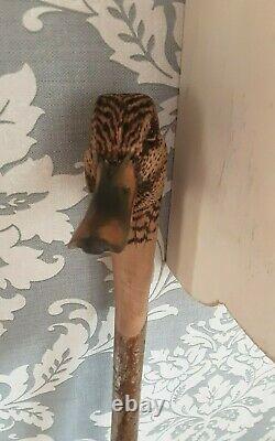 Female Mallard hand carved Walking stick / dress stick shooting stick
