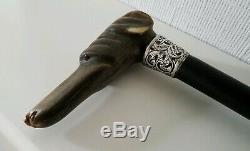 Fine Antique Silver Top Walking Stick Carved Bovine Horn Dog Head Glass Eyes