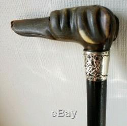 Fine Antique Silver Top Walking Stick Carved Bovine Horn Dog Head Glass Eyes