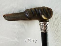 Fine Antique Silver Top Walking Stick Carved Bovine Horn Dog Head Glass Eyes