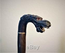 Fine old carved horn cane (walking stick) withNaga head from Java, Indonesia