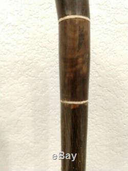 Fine old carved horn cane (walking stick) withNaga head from Java, Indonesia