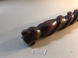 Folk Art Pigs Head Walking Stick or Cane hand-carved in Ash, 19th century