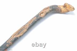 French Antique Beech Cane Walking Stick Folk Art Hand Carved Old Man Face