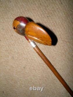 Georgian Poplar Rustic Walking Cane- H/m Silver 1933- Hand Carved/Painted Toucan