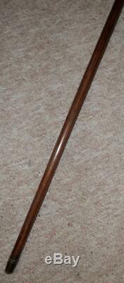 Georgian Walking Stick/Cane Hand Carved Parrot Head Silver Collar H/M 1929