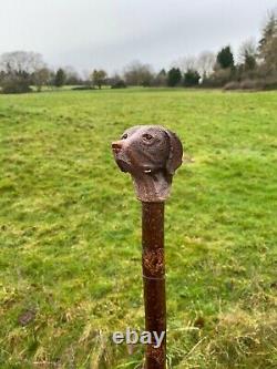 German Pointer Head Hand Carved in Lime Wood Walking stick on Hazel Shank