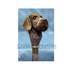 German Wirehaired Pointer Dog Head Handle Carved Wooden Walking Stick Cane