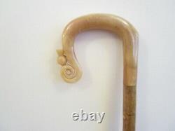 HAND CARVED RAMS HORN CROOK walking stick. Excellent quality