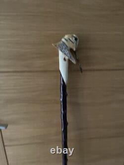 Hand Carved American Woodcock In Lime Hiking/Walking stick on Blackthorn Shank