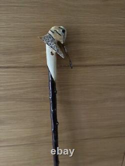 Hand Carved American Woodcock In Lime Hiking/Walking stick on Blackthorn Shank