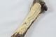 Hand Carved Antler Horn Bald Eagle Walking Stick Cane Top Handle Sheffield
