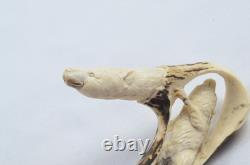 Hand Carved Bear & Fox Walking Stick Cane Top Handle Antler Horn Sheffield