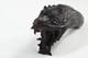 Hand Carved Black Dragon Walking Stick Cane Top Handle Antler Horn Sheffield