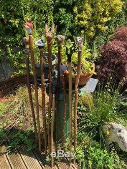 Hand Carved Fox Head Walking stick on Hazel Shank