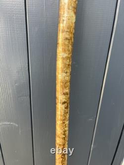Hand Carved French Partridge Headed Walking Or Hiking Stick On Hazel Shank