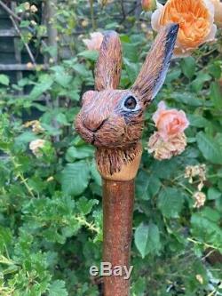 Hand Carved Hare Head Walking stick on Hazel Shank