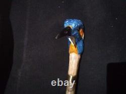 Hand Carved Kingfisher Head Walking Staff