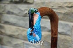 Hand Carved Kingfisher Market Style Walking Stick Blackthorn Shank 47.5 121 CM