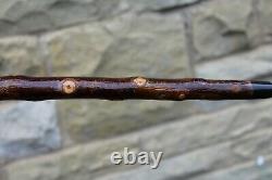 Hand Carved Kingfisher Market Style Walking Stick Blackthorn Shank 47.5 121 CM