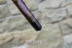Hand Carved Kingfisher Market Style Walking Stick Blackthorn Shank 47.5 121 CM