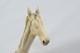 Hand Carved Large Stallion Walking Stick Cane Top Handle Antler Horn Sheffield